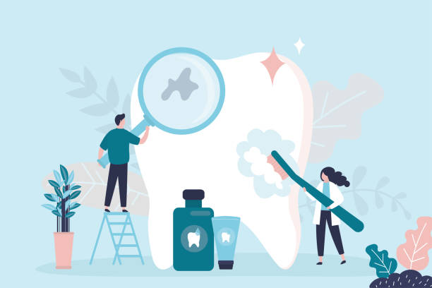 Professional Holistic Dental Care Services in Petoskey, MI